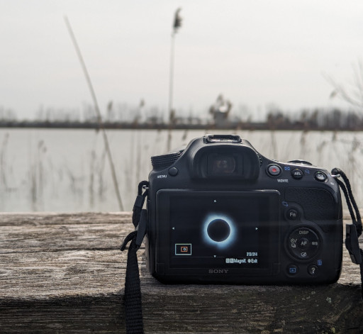 A photo of the 2024 eclipse in totality.